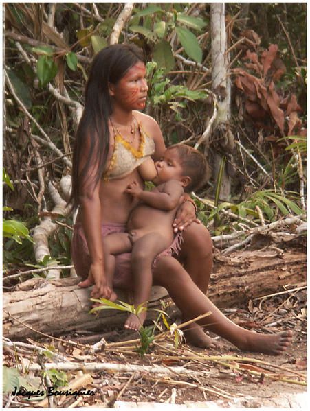 http://a398.idata.over-blog.com/451x599/1/35/79/37/BRESIL/village-indien-en-amazonie-4.jpg